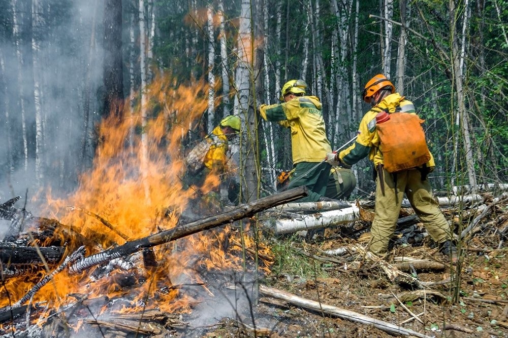 В Магаданской области утвердили планы тушения лесных пожаров Источник