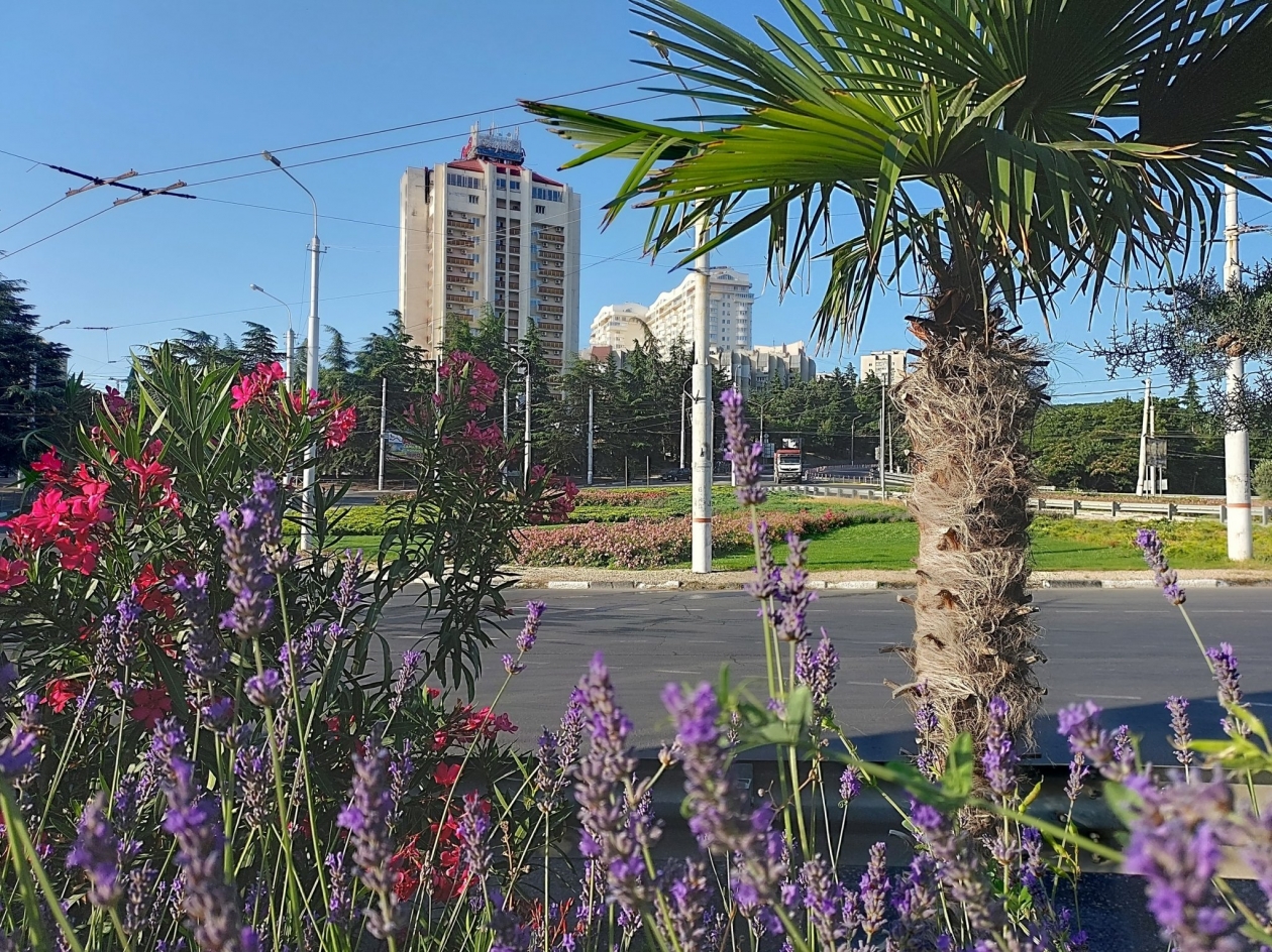 Тематическое фото Соцсети Г. Огнёвой