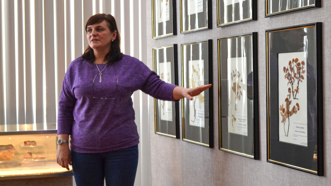 Колымчане узнали больше о растительном разнообразии Магаданской области Источник