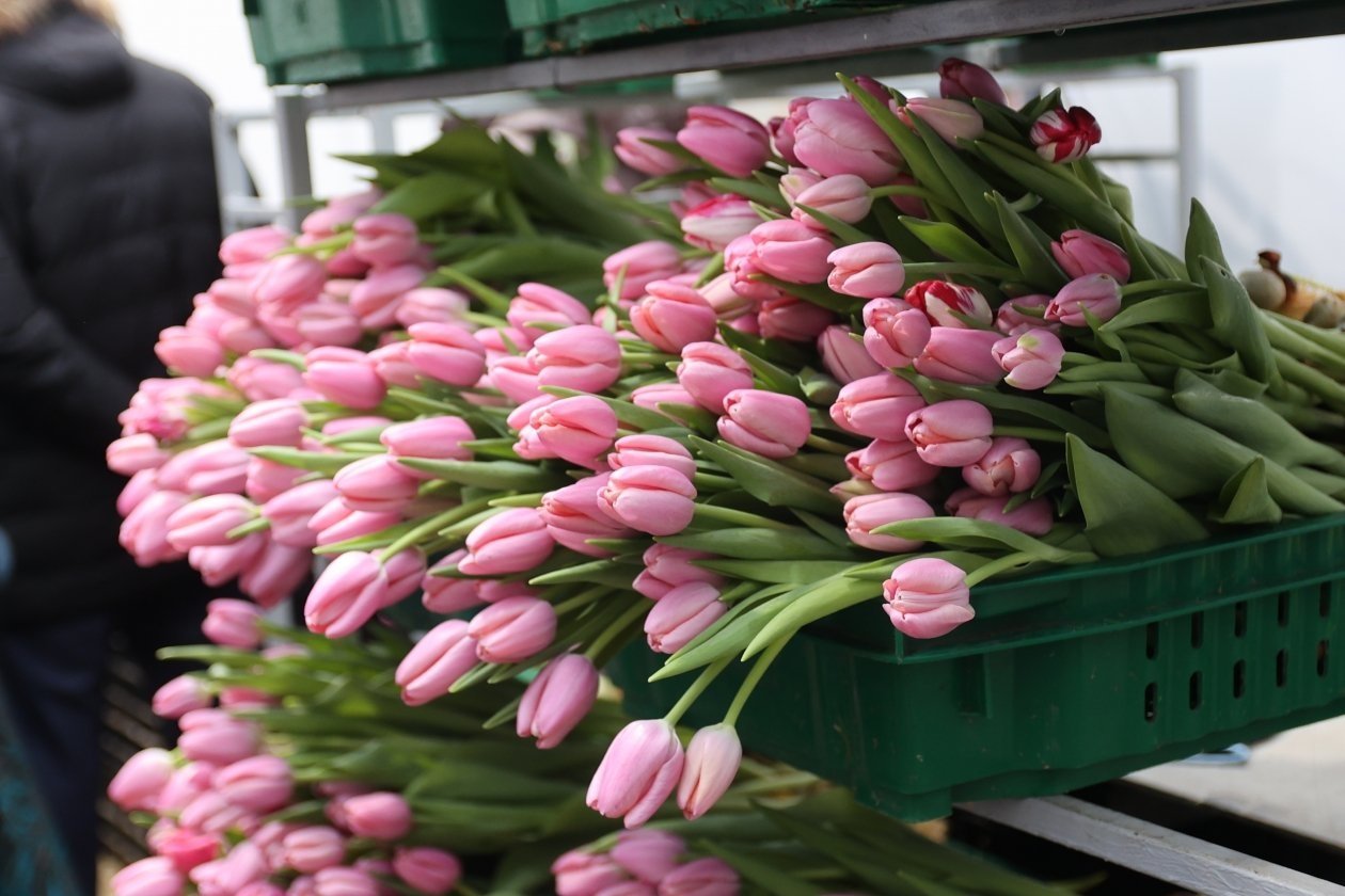 Тематическое фото ИА PrimaMedia