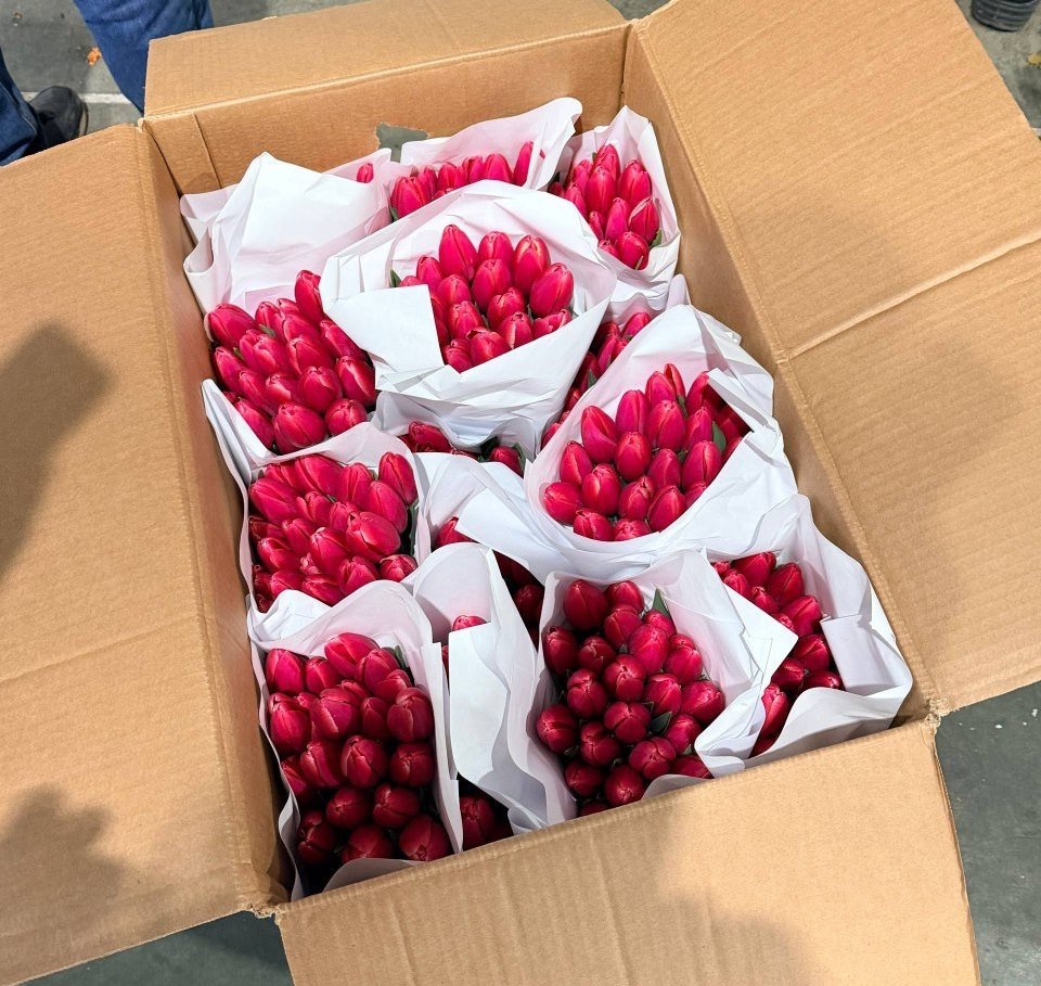 . пресс-служба Управления Россельхознадзора по Красноярскому краю