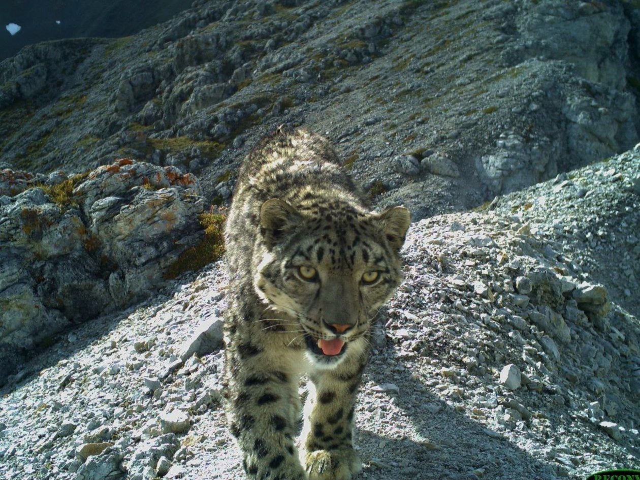 национального парка «Тункинский»