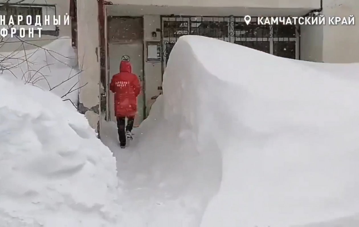 Народный фронт. Камчатка / скрин видео