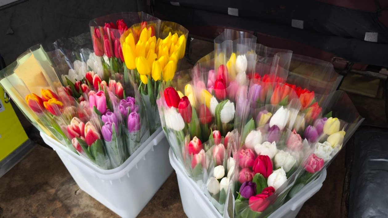 Ирина Васильева, ИА KamchatkaMedia