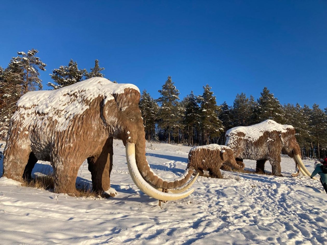 Гороскоп на 6 марта: День располагает движению к намеченным целям ИА YakutiaMedia