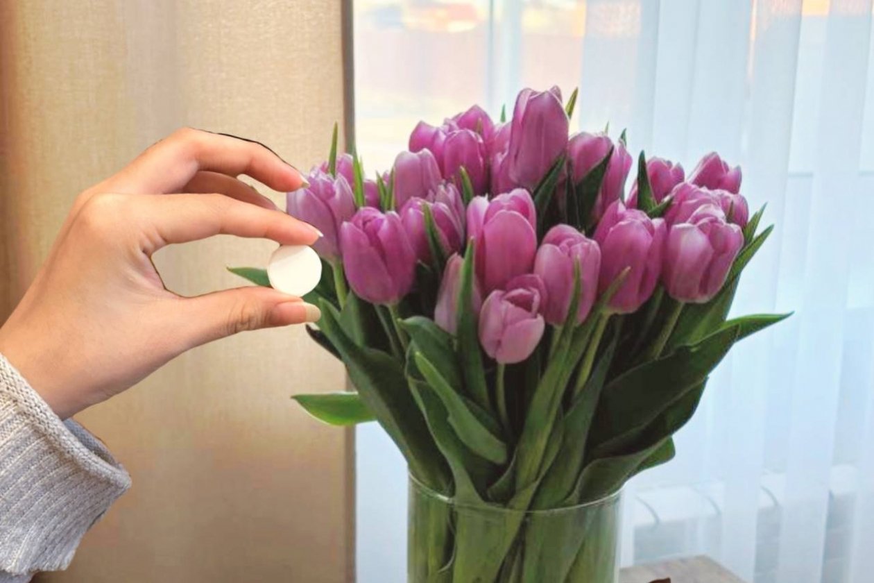 1 таблетка в вазу - цветы стоят 4 недели как свежие: лепестки не опадают, стебель не гниет ИА KrasnodarMedia