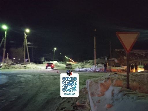 Два пешехода пострадали в ДТП в Тымовском районе пресс-служба Госавтоинспекции Сахалинской области