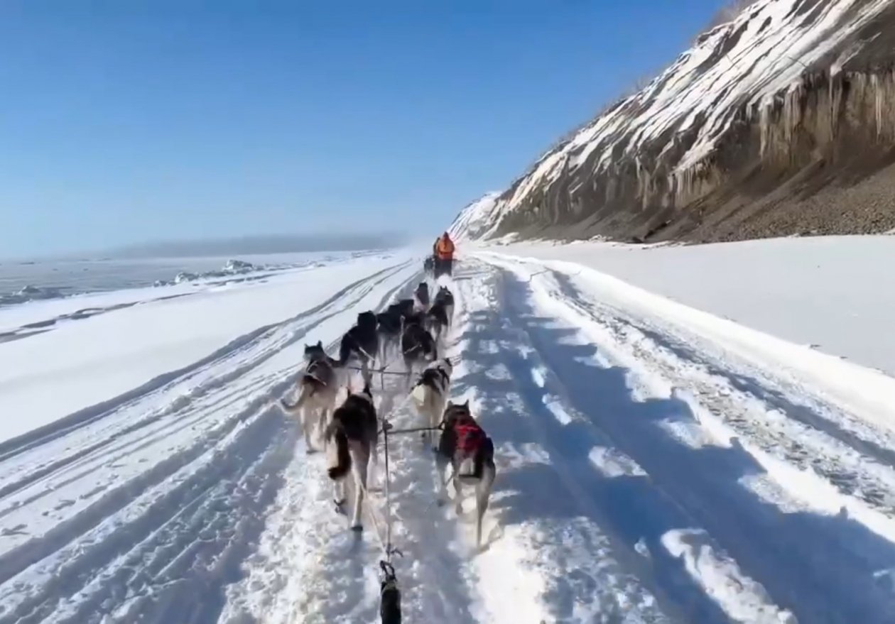 Кадр из фильма Анны Семашкиной Фильм-победитель/скрин видео