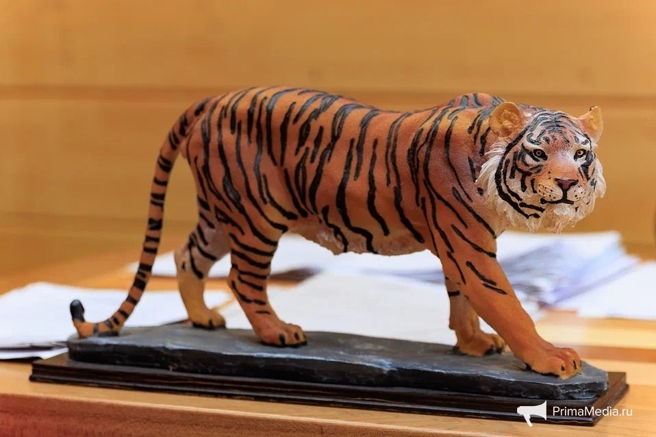 Яна Гайдук, ИА PrimaMedia