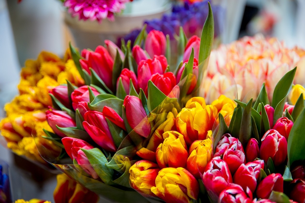 Тематическое фото Илья Аверьянов, ИА PrimaMedia