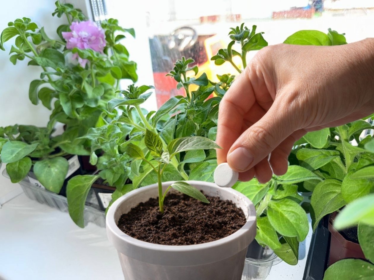 Тематическое фото Сгенерировано ИА UssurMedia (18+)