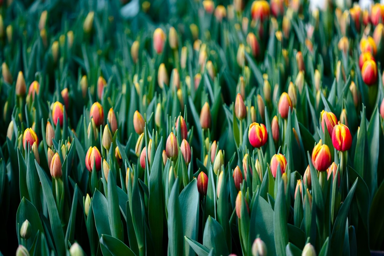 Тематическое фото Илья Аверьянов, ИА PrimaMedia.ru