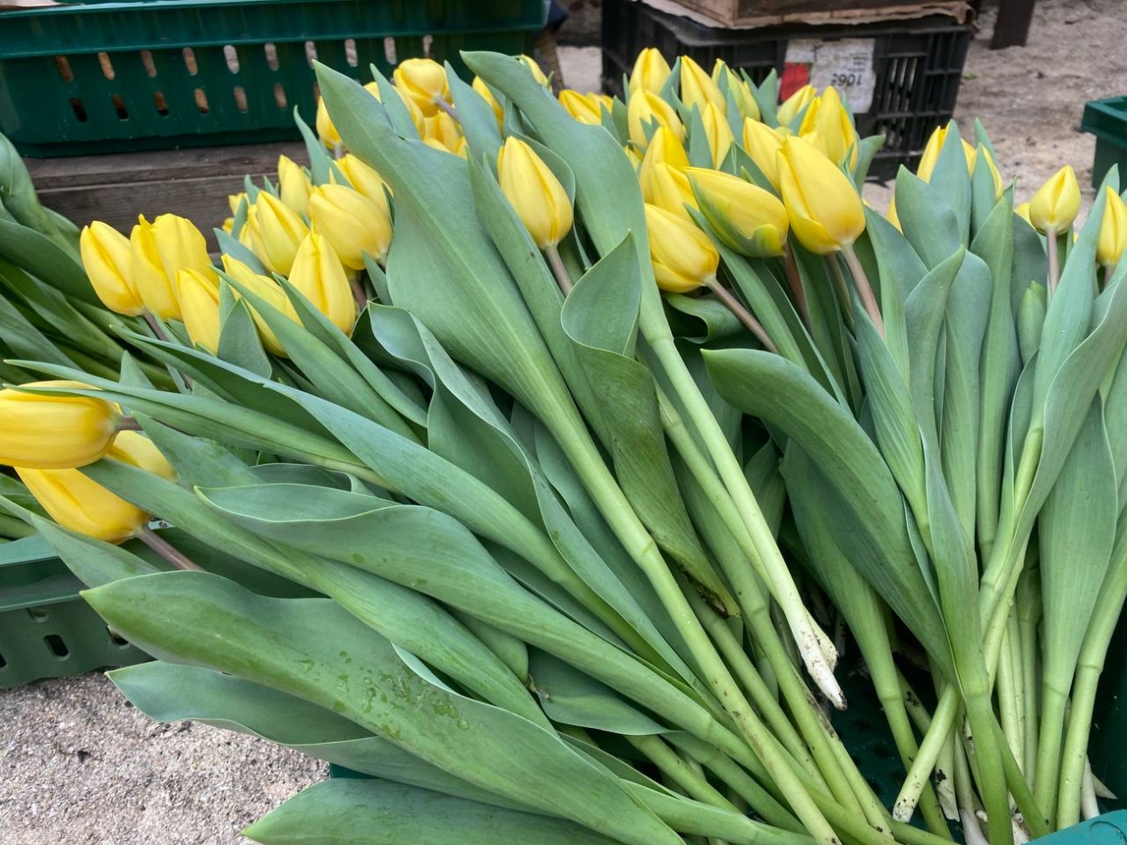 Степан Филатов, ИА IrkutskMedia