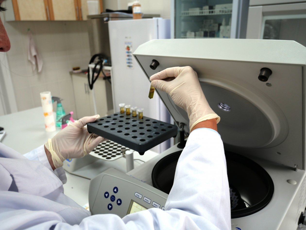 Центр защиты леса Бурятии сделает более 9 тыс. генетических исследований в 2026 ЦЗЛ Республики Бурятия