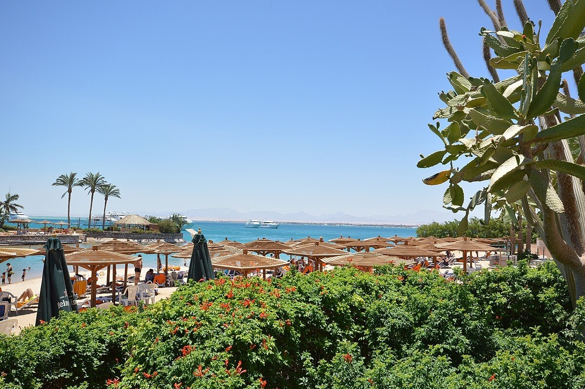 Вместо Эмиратов россияне могут поехать в Египет или Турцию Hassan Gaafar, wikipedia.org