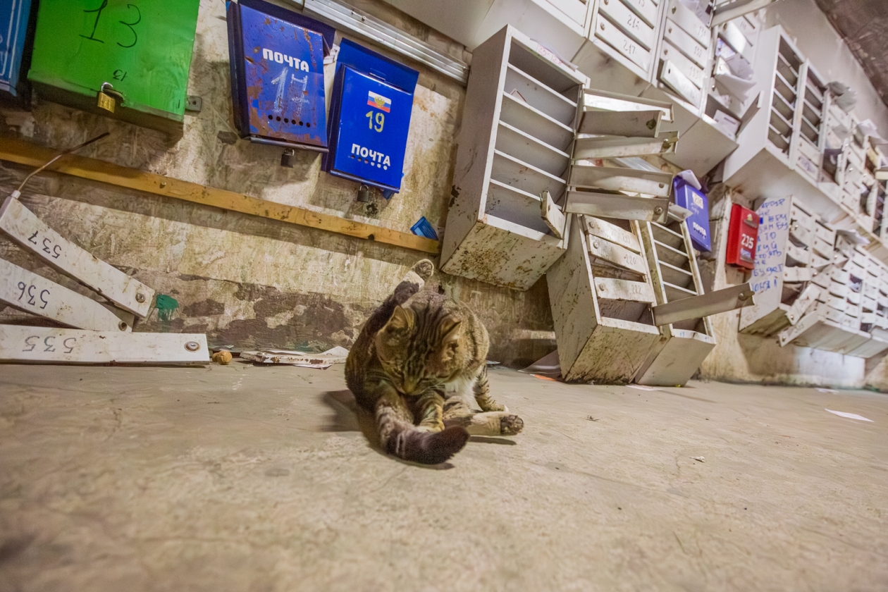 Тематическое фото Мария Смитюк, ИА PrimaMedia