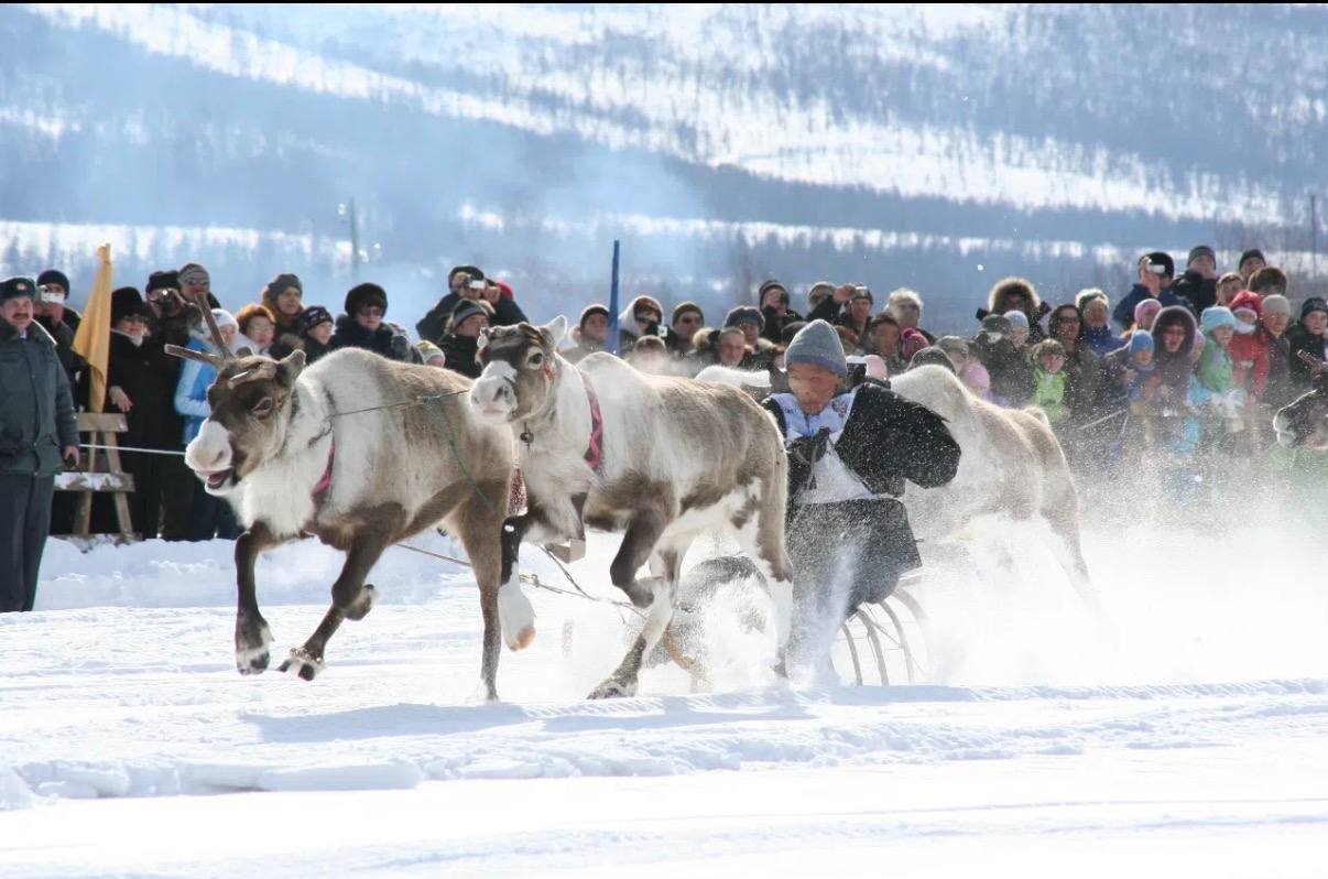 День оленевода в Эссо Пресс-служба сети природных парков &quotВулканы Камчатки&quot