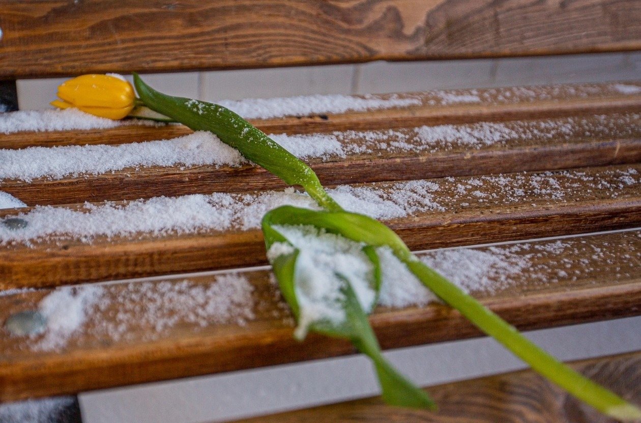 Прогноз погоды Мария Смитюк, ИА PrimaMedia