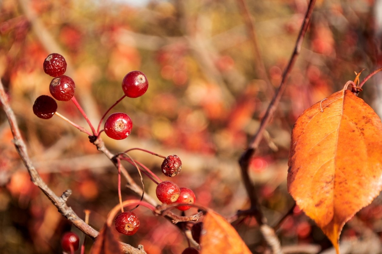 Тематическое фото Евгений Овдеенко, ИА OmskMedia