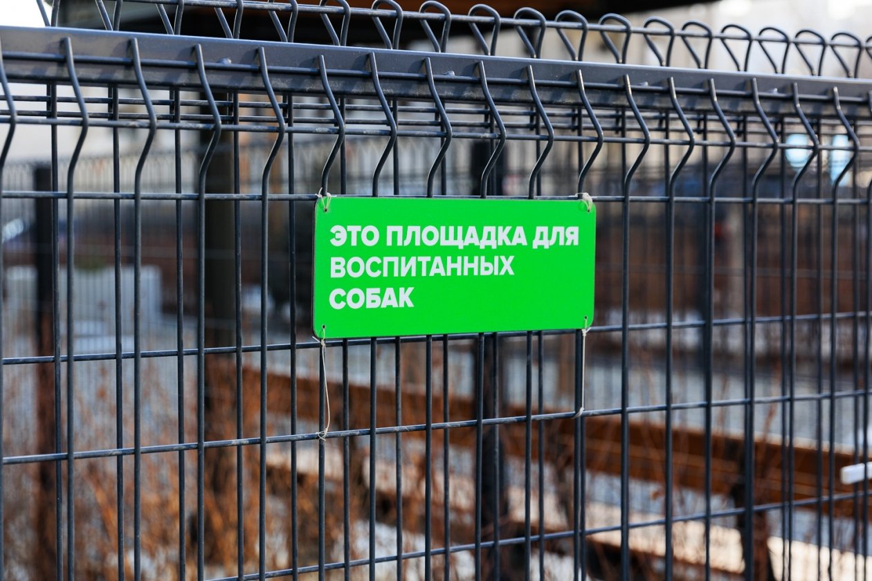 Площадка для выгула собак у ЖК &quotЗелёный Бульвар&quot Яна Гайдук, ИА PrimaMedia