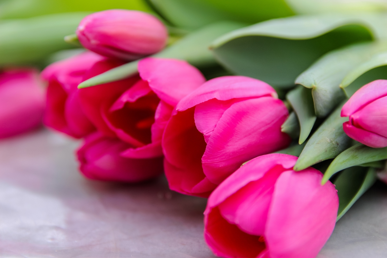 Звонки лжекурьеров и фейковые магазины активизируются на Кубани перед 8 марта Юлия Ушакова