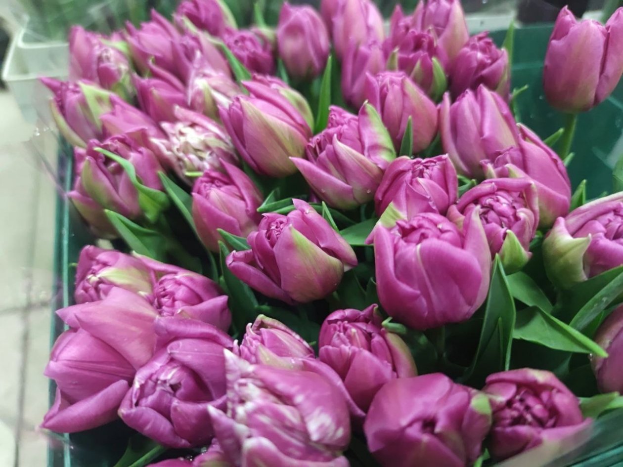 Город женщин и коллажи художниц всей страны: афиша на выходные в Ставрополе ИА Stavropol.Media