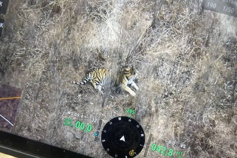 Пресс-служба МинПрироды Приморья