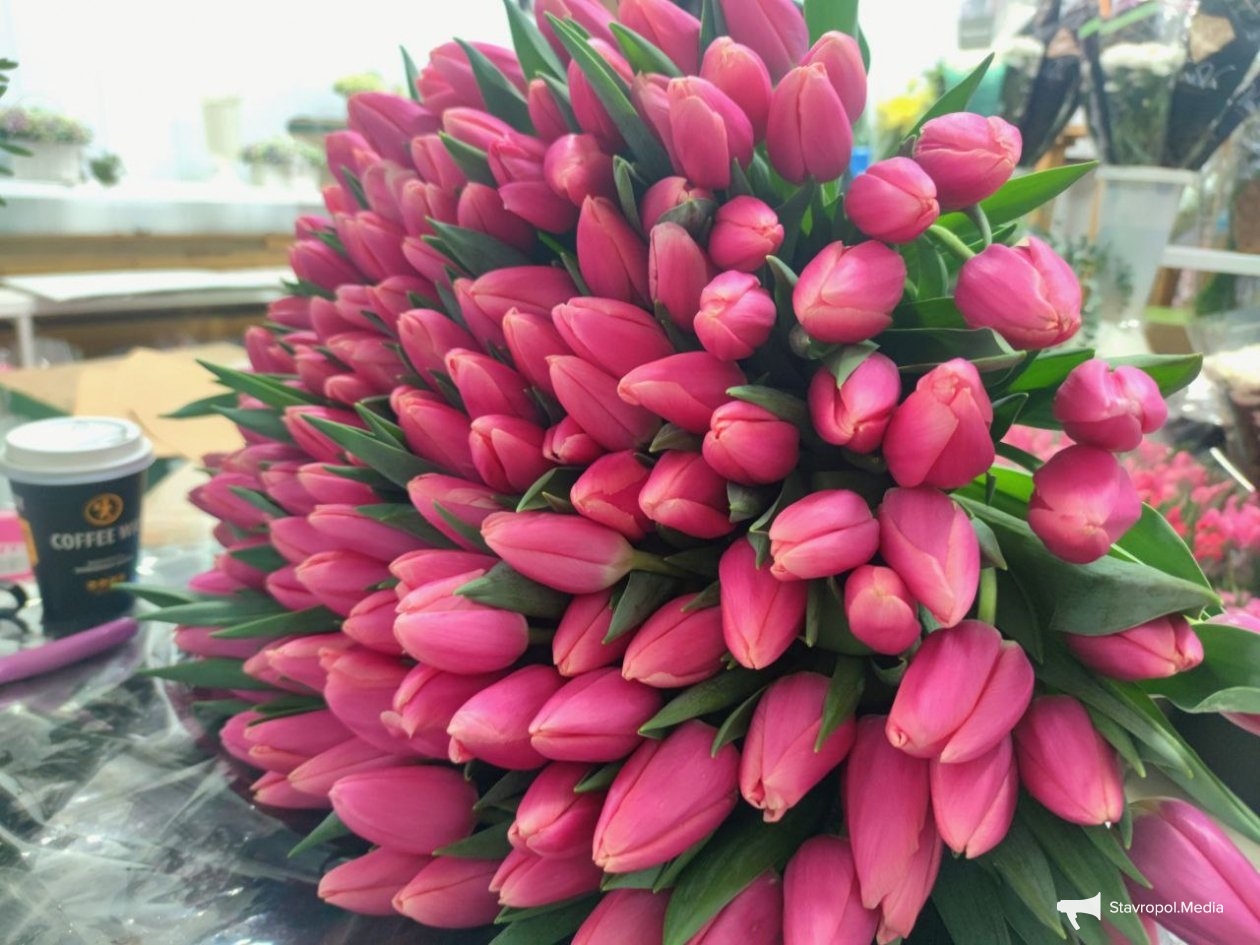 ИА Stavropol.Media