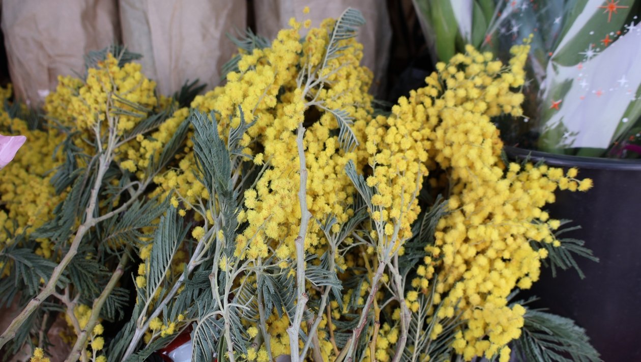 Евгения Микушина, ИА UssurMedia