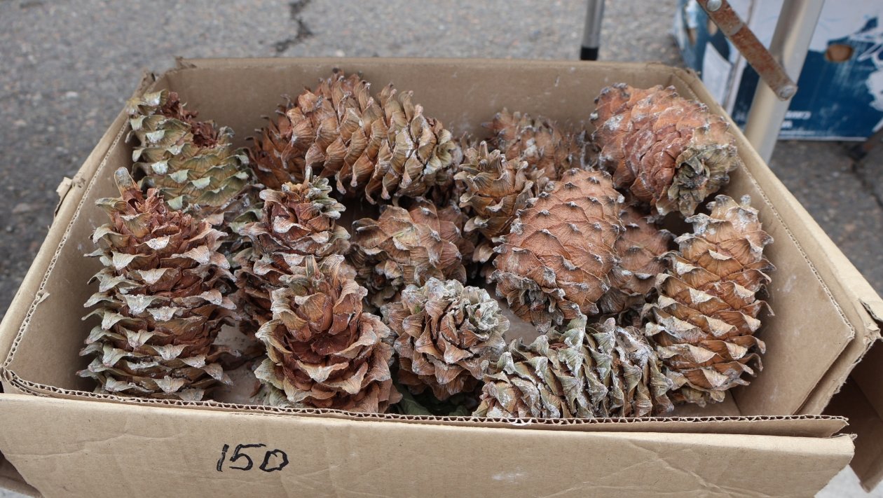 Евгения Микушина, ИА UssurMedia