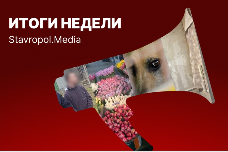Поджог сотовых вышек, отказ зоозащитникам и ажиотаж перед 8 Марта: неделя на Ставрополье ИА Stavropol.Media