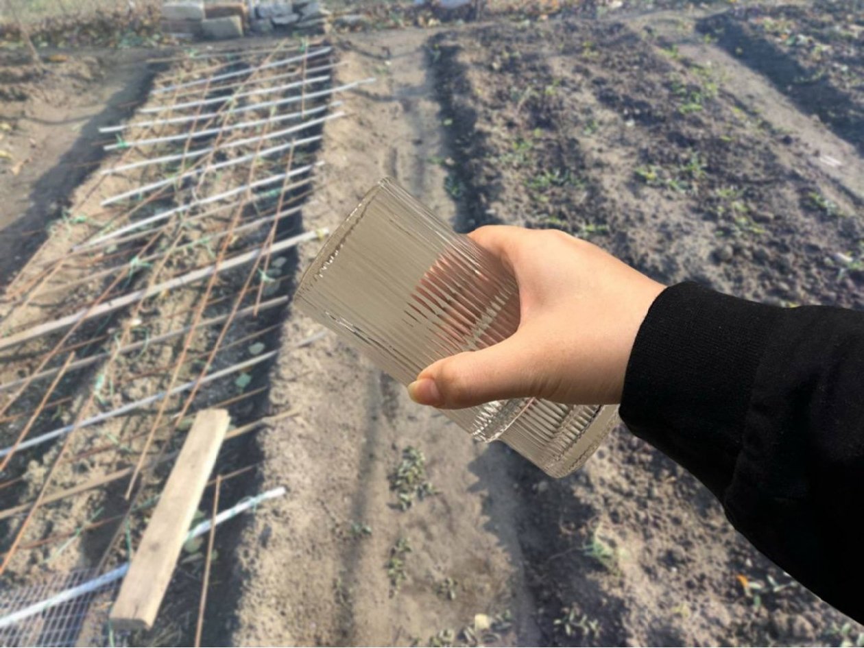 Медведка вылезет сама - залейте в ходы 1 стакан этого раствора: простая хитрость спасает всю рассаду ИА KrasnodarMedia