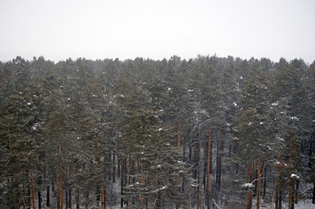 Снег пройдет в Иркутске в субботу, 7 марта ИА IrkutskMedia