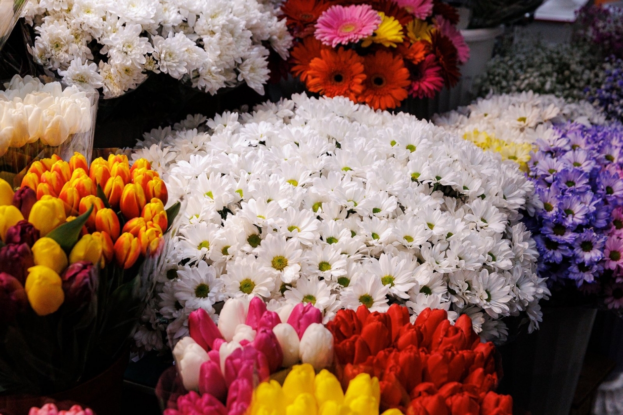 Тематическое фото Евгений  Кулешов, ИА PrimaMedia.ru