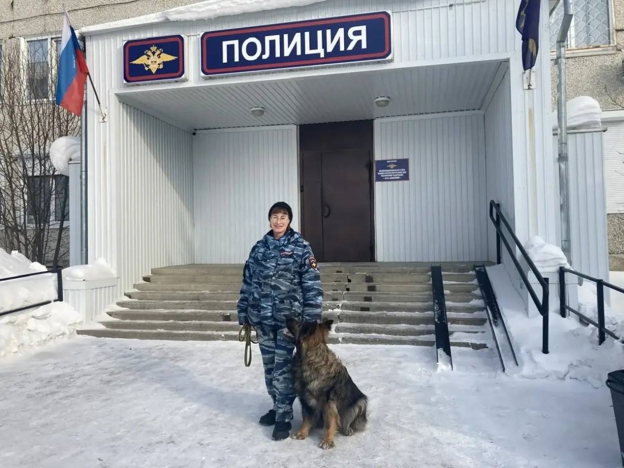 Служебный пес установил похитителя общедомовой камеры в Усть-Илимске Пресс-служба ГУ МВД России по Иркутской области