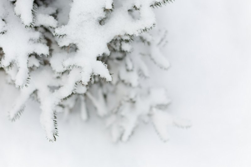 В высокогорье Сочи сугробы выросли до 336 см Александр Ратников