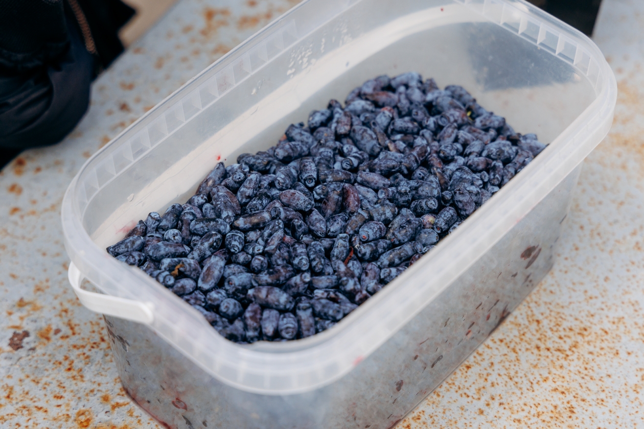 Жимолость, рынок, продажа, ягода, сбор Евгений  Кулешов, ИА PrimaMedia