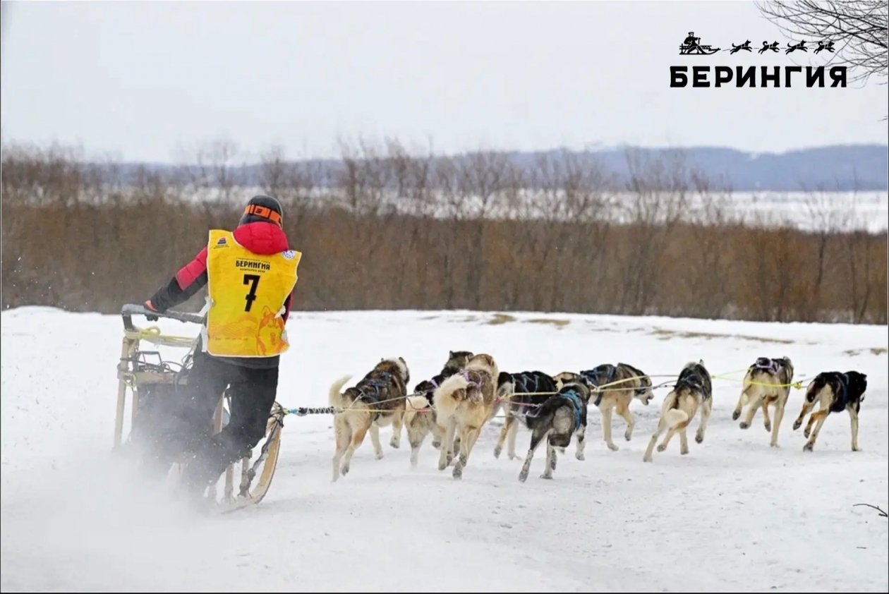 София Яганова на трассе гонки Оргкомитет гонки