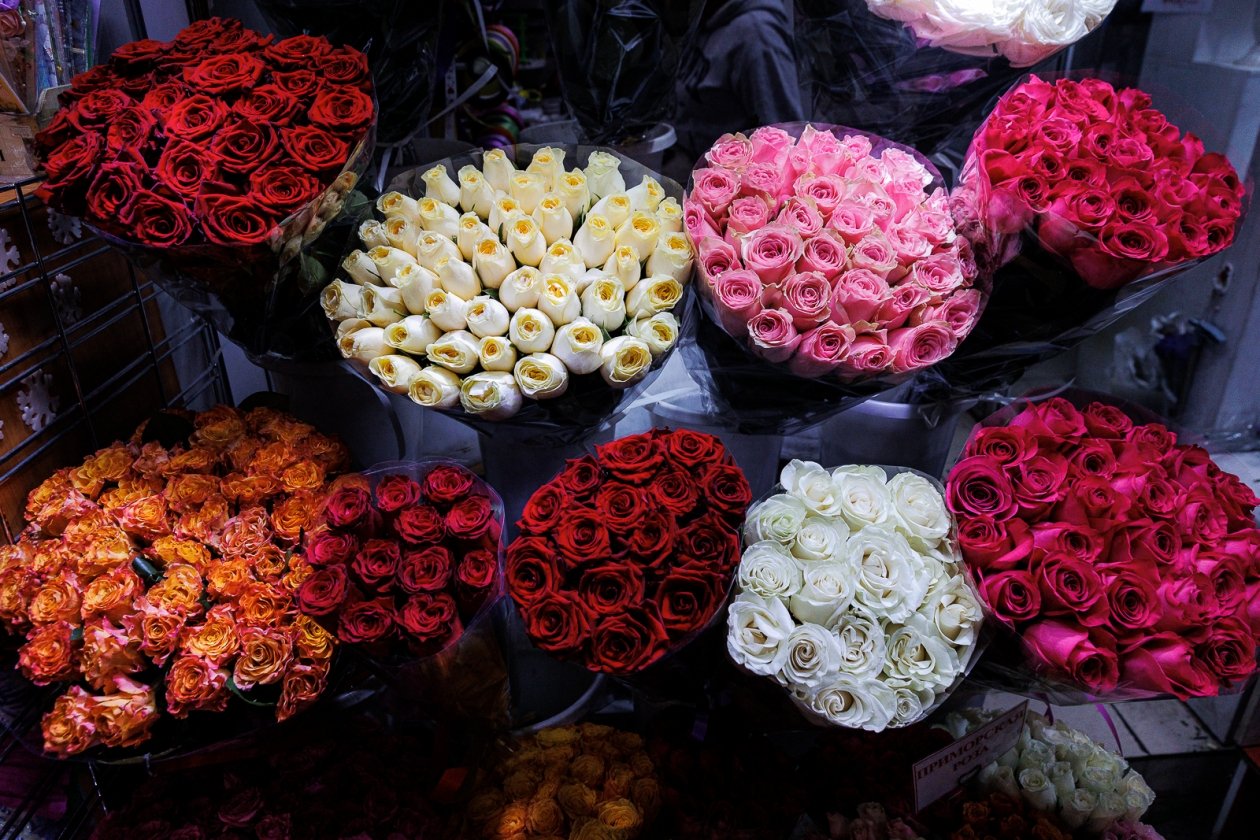 Евгений  Кулешов, ИА PrimaMedia.ru