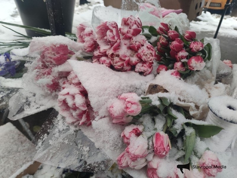 Теплая погода ожидается на Ставрополье в начале недели ИА Stavropol.Media