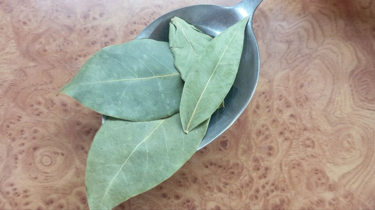 Храню лавровый лист не в шкафу — и на кухне аромат как в ресторане: хитрость от шеф-повара ИА SevastopolMedia