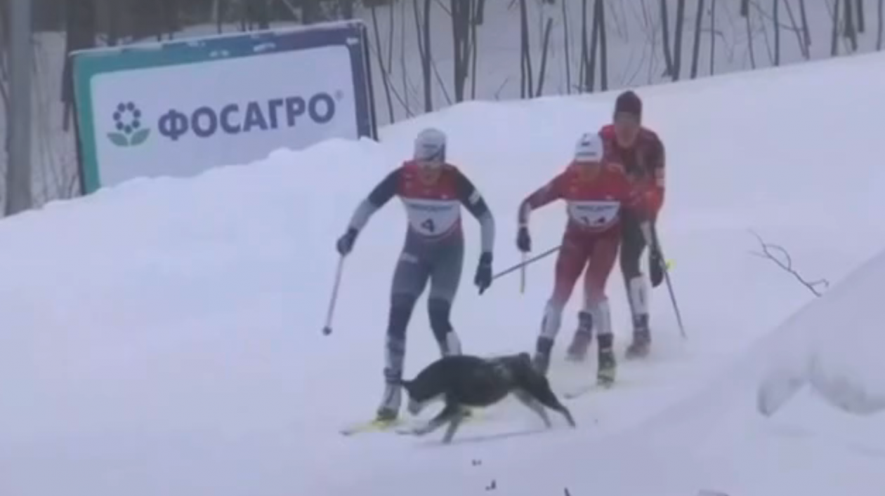 Момент столкновения скриншот