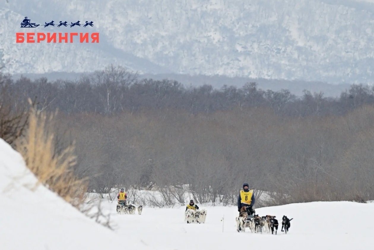 &quotБерингия-2026&quot Оргкомитет гонки