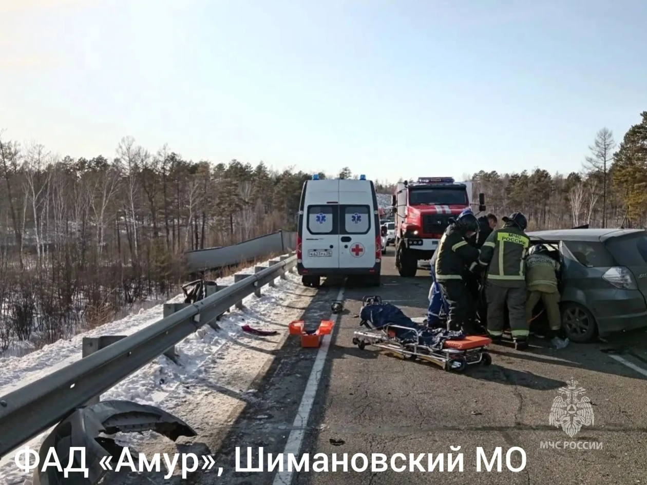 Массовое ДТП в Шимановском округе произошло в праздничный день ГУ МЧС России по Амурской области