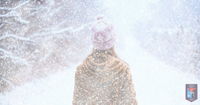 Тематическое фото 