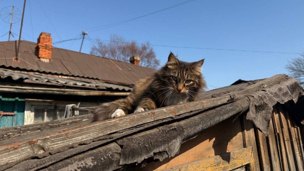 Будет тепло Марина Кудрявцева, ИА UssurMedia