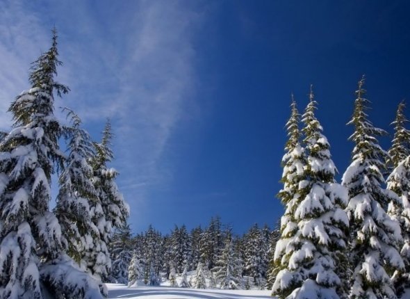 Тематическое фото pxhere.com