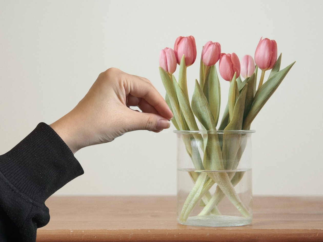 Тюльпаны простоят 2 недели: что нужно добавить в воду - ни одного листочка не опадет Łukasz Rawa / unsplash и ИА Stavropol.Media