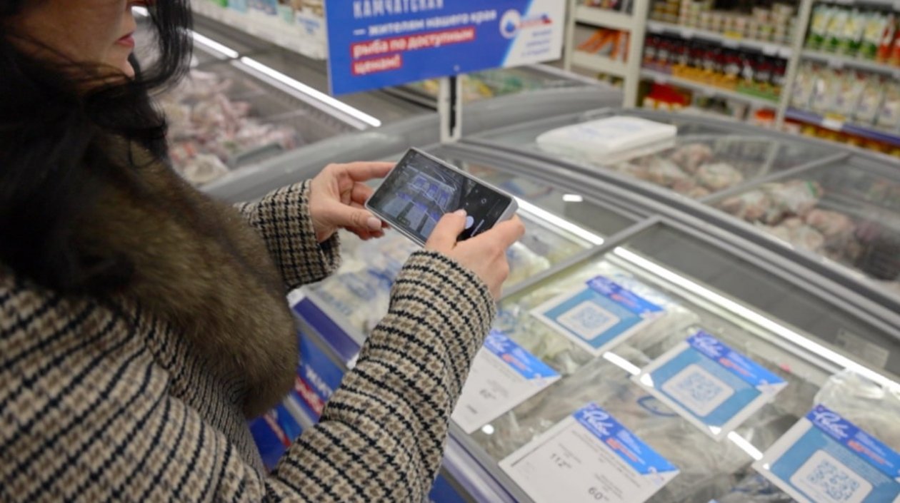 Проверка &quotРыбы Камчатской&quot kamgov.ru