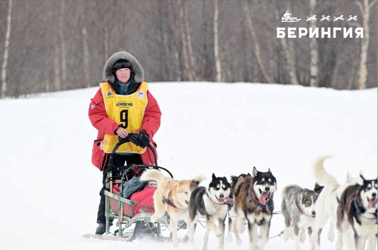 Берингия-2026 Оргкомитет гонки